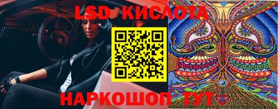 Альфа ПВП Кингисепп
