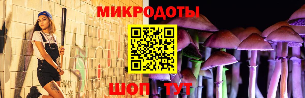 Псилоцибиновые грибы прущие грибы Лабытнанги